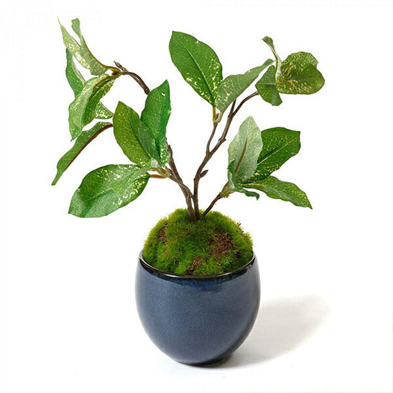 CUPBON 盆栽 クチナシ 小鉢 藍 フェイクグリーン PRGR-1384 プリマ