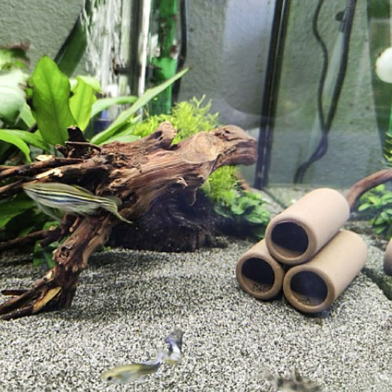 エビ シェルター ドラム缶 3連 アクアリウム ペット用品 海老 隠れ家 繁殖 秘密基地 寝床 睡眠場所 オブジェ 水槽 置物 インテリア 熱帯魚 通販 Roomclipショッピング