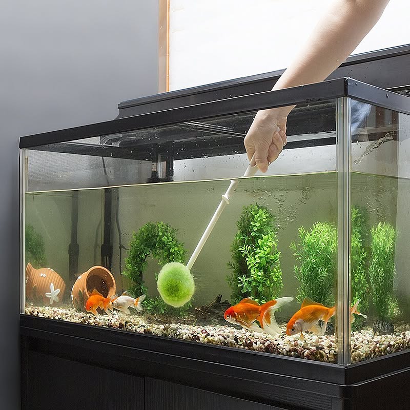 金魚水槽のおしゃれなアレンジ 飾り方のインテリア実例 Roomclip ルームクリップ