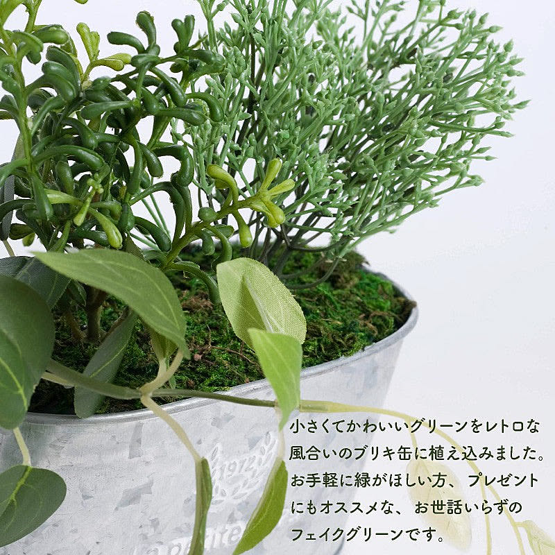 フェイクグリーン