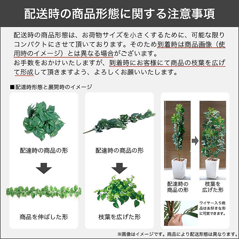 観葉植物